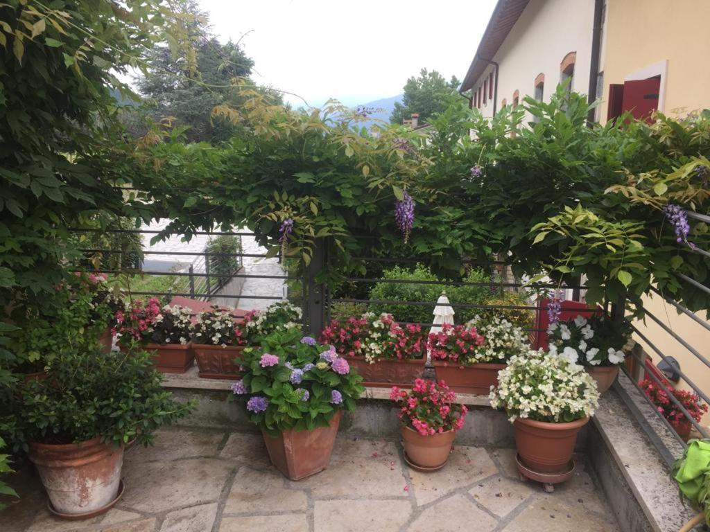 ホテル La Casa Del Glicine Tarzo エクステリア 写真